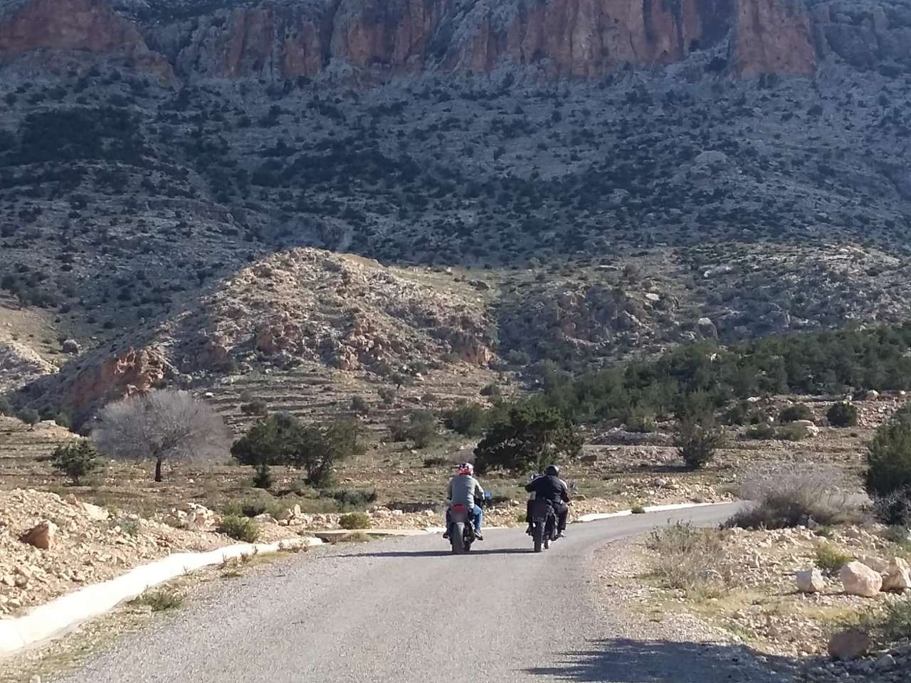 Moto Sahara — photo 1